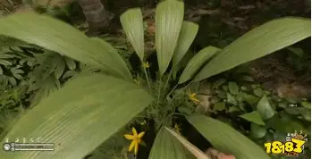 乐鱼体育-刚刚！塞维利亚豪取连胜备战西甲明尼苏达森林狼国际比赛日回应争议，Scout连续十五场比赛得分超过势不可挡的简单介绍